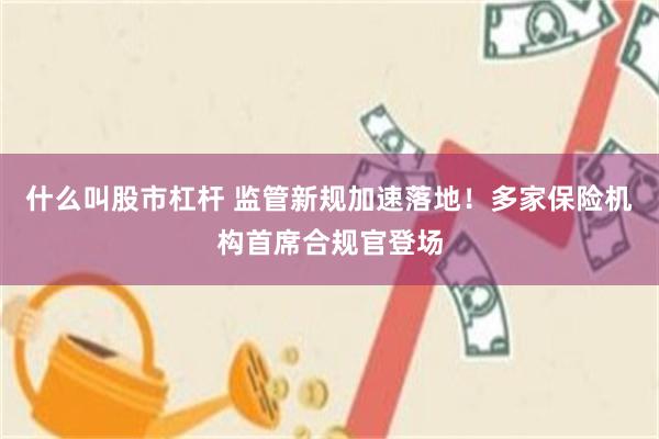 什么叫股市杠杆 监管新规加速落地！多家保险机构首席合规官登场