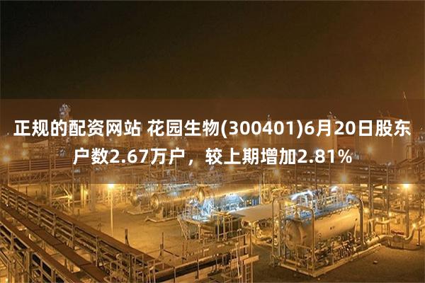 正规的配资网站 花园生物(300401)6月20日股东户数2.67万户，较上期增加2.81%