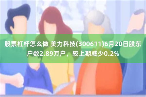 股票杠杆怎么做 美力科技(300611)6月20日股东户数2.89万户,较上期减少0.2%