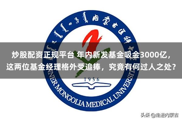 炒股配资正规平台 年内新发基金吸金3000亿，这两位基金经理格外受追捧，究竟有何过人之处？