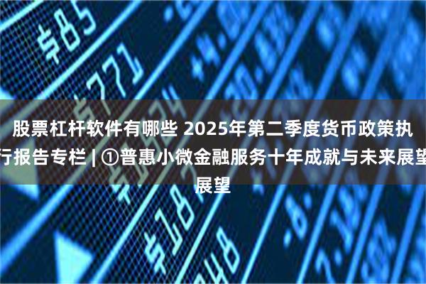 股票杠杆软件有哪些 2025年第二季度货币政策执行报告专栏 | ①普惠小微金融服务十年成就与未来展望