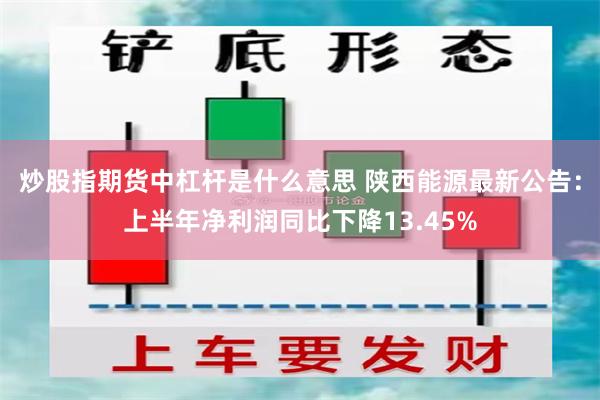 炒股指期货中杠杆是什么意思 陕西能源最新公告：上半年净利润同比下降13.45%
