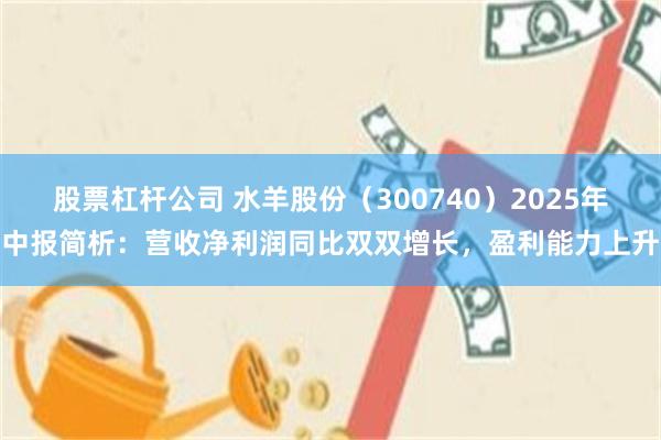 股票杠杆公司 水羊股份（300740）2025年中报简析：营收净利润同比双双增长，盈利能力上升