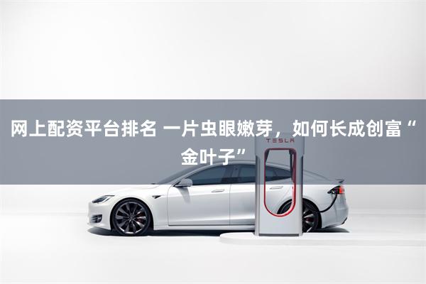网上配资平台排名 一片虫眼嫩芽，如何长成创富“金叶子”