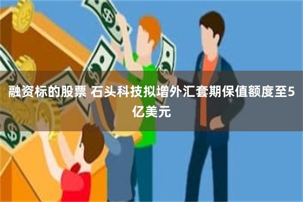 融资标的股票 石头科技拟增外汇套期保值额度至5亿美元