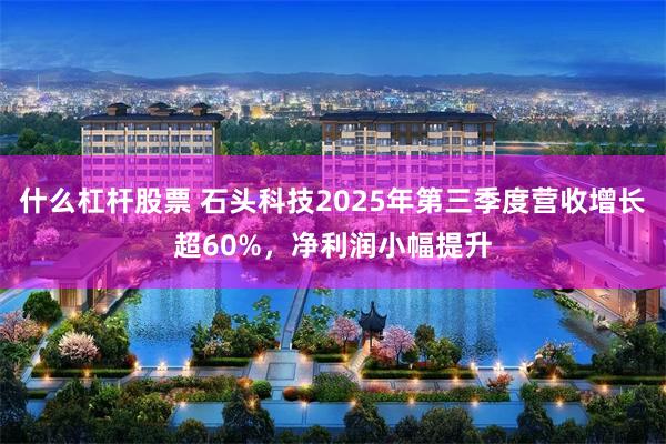什么杠杆股票 石头科技2025年第三季度营收增长超60%，净利润小幅提升