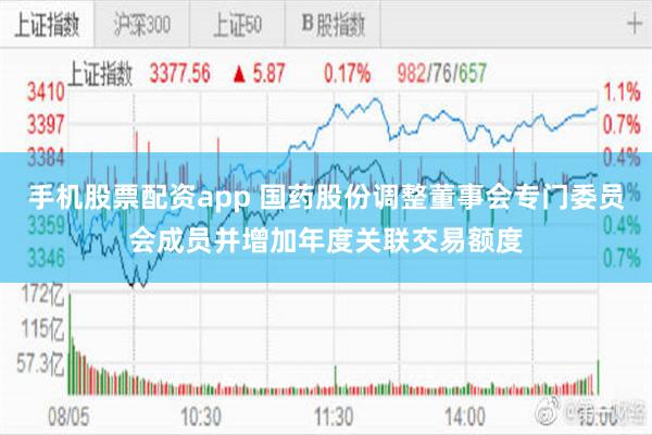 手机股票配资app 国药股份调整董事会专门委员会成员并增加年度关联交易额度