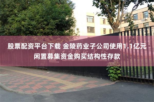 股票配资平台下载 金陵药业子公司使用1.1亿元闲置募集资金购买结构性存款