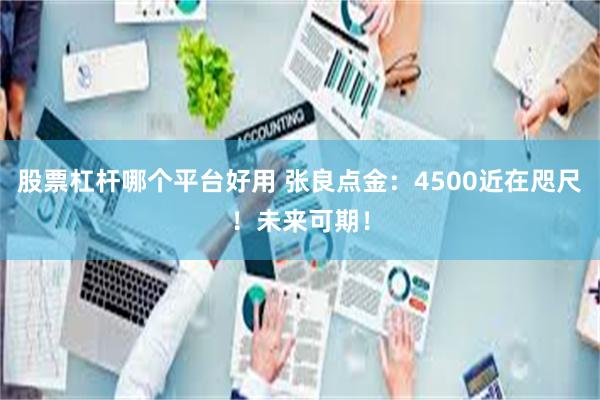 股票杠杆哪个平台好用 张良点金:4500近在咫尺!未来可期!