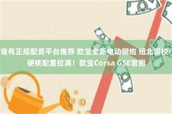 谁有正规配资平台推荐 欧宝全新电动钢炮 纽北调校/硬核配置拉满！欧宝Corsa GSE官图