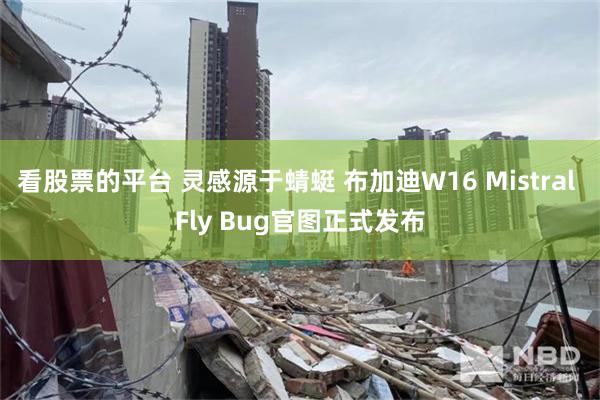 看股票的平台 灵感源于蜻蜓 布加迪W16 Mistral Fly Bug官图正式发布