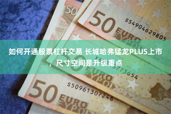 如何开通股票杠杆交易 长城哈弗猛龙PLUS上市，尺寸空间是升级重点