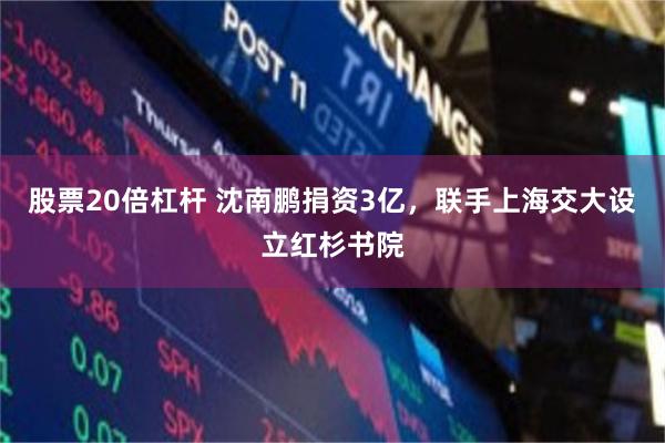 股票20倍杠杆 沈南鹏捐资3亿，联手上海交大设立红杉书院