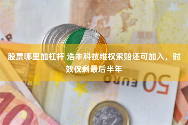 股票哪里加杠杆 浩丰科技维权索赔还可加入，时效仅剩最后半年