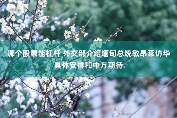 哪个股票能杠杆 外交部介绍缅甸总统敏昂莱访华具体安排和中方期待