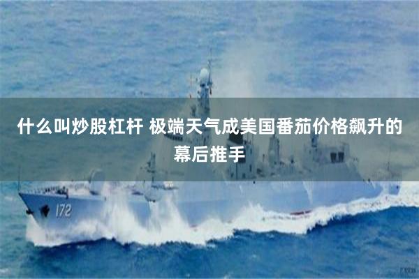 什么叫炒股杠杆 极端天气成美国番茄价格飙升的幕后推手