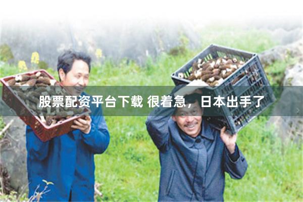 股票配资平台下载 很着急，日本出手了