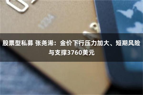股票型私募 张尧浠：金价下行压力加大、短期风险与支撑3760美元