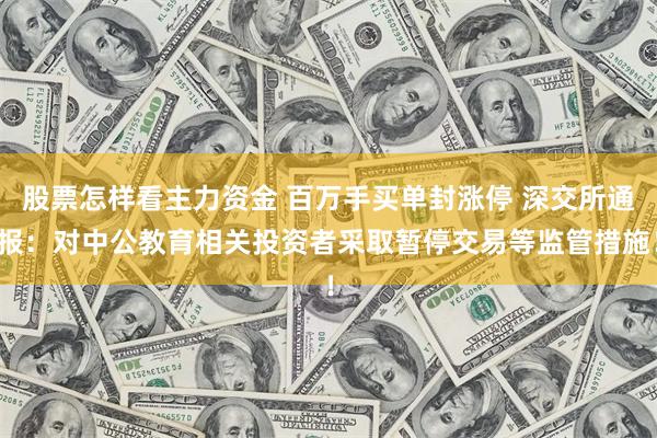 股票怎样看主力资金 百万手买单封涨停 深交所通报:对中公教育相关投资者采取暂停交易等监管措施!