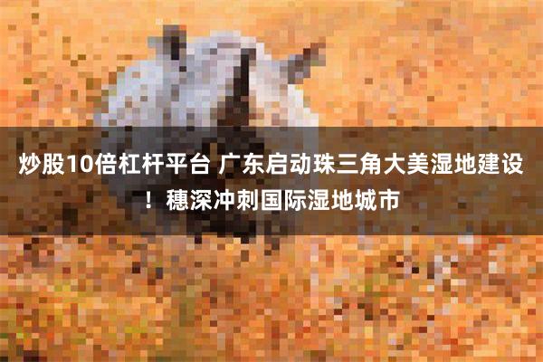 炒股10倍杠杆平台 广东启动珠三角大美湿地建设!穗深冲刺国际湿地城市