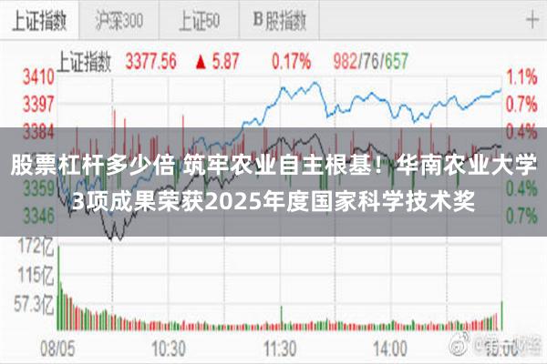 股票杠杆多少倍 筑牢农业自主根基!华南农业大学3项成果荣获2025年度国家科学技术奖
