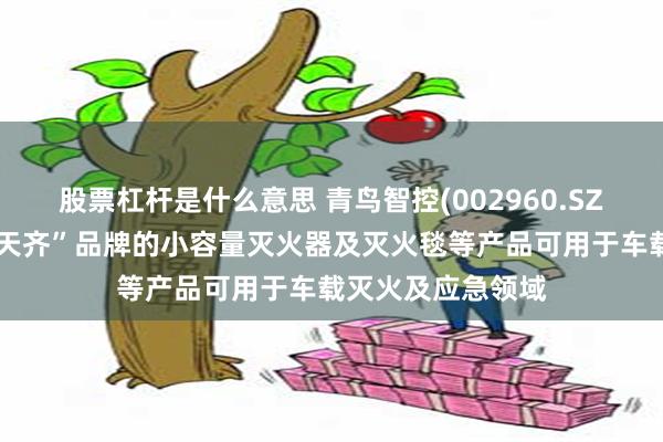 股票杠杆是什么意思 青鸟智控(002960.SZ)：公司旗下“正天齐”品牌的小容量灭火器及灭火毯等产品可用于车载灭火及应急领域