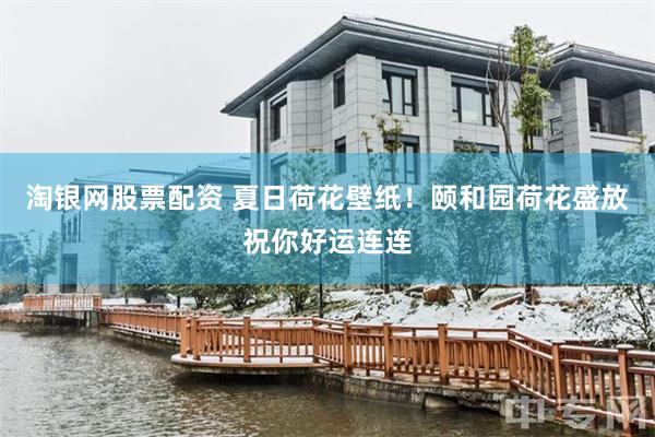 淘银网股票配资 夏日荷花壁纸！颐和园荷花盛放祝你好运连连