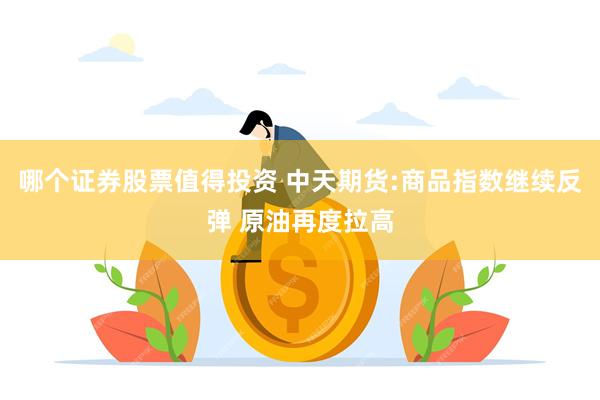 哪个证券股票值得投资 中天期货:商品指数继续反弹 原油再度拉高