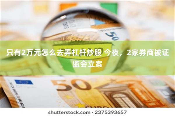 只有2万元怎么去弄杠杆炒股 今夜，2家券商被证监会立案