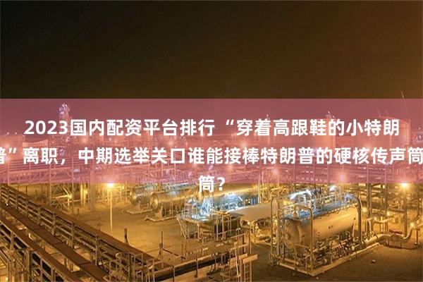 2023国内配资平台排行 “穿着高跟鞋的小特朗普”离职，中期选举关口谁能接棒特朗普的硬核传声筒？