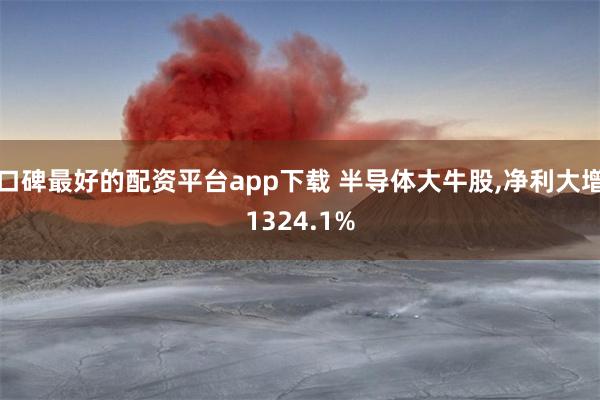 口碑最好的配资平台app下载 半导体大牛股,净利大增1324.1%