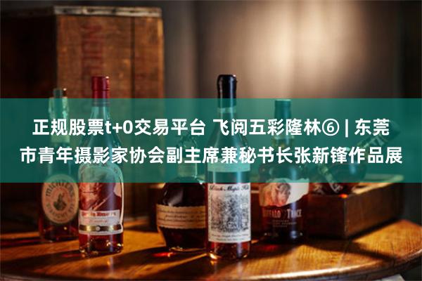 正规股票t+0交易平台 飞阅五彩隆林⑥ | 东莞市青年摄影家协会副主席兼秘书长张新锋作品展
