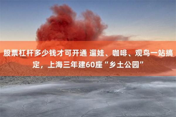 股票杠杆多少钱才可开通 遛娃、咖啡、观鸟一站搞定，上海三年建60座“乡土公园”