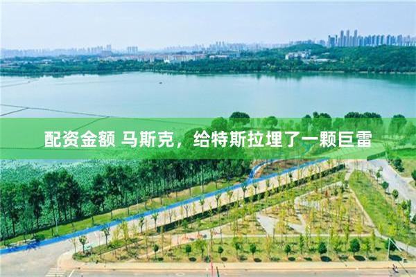 配资金额 马斯克，给特斯拉埋了一颗巨雷