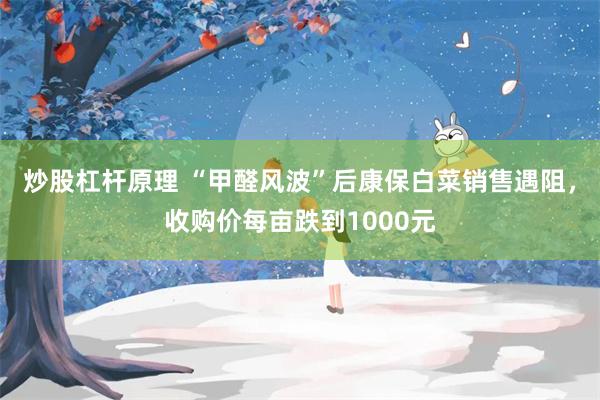 炒股杠杆原理 “甲醛风波”后康保白菜销售遇阻，收购价每亩跌到1000元