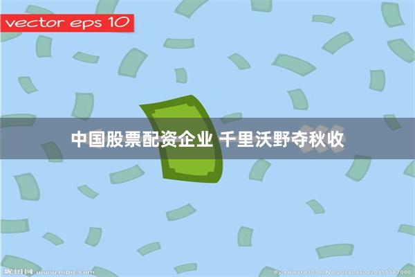 中国股票配资企业 千里沃野夺秋收