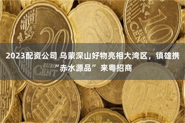 2023配资公司 乌蒙深山好物亮相大湾区，镇雄携“赤水源品” 来粤招商