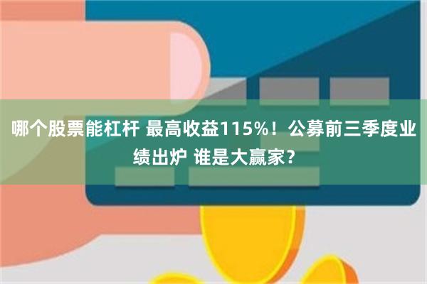 哪个股票能杠杆 最高收益115%！公募前三季度业绩出炉 谁是大赢家？