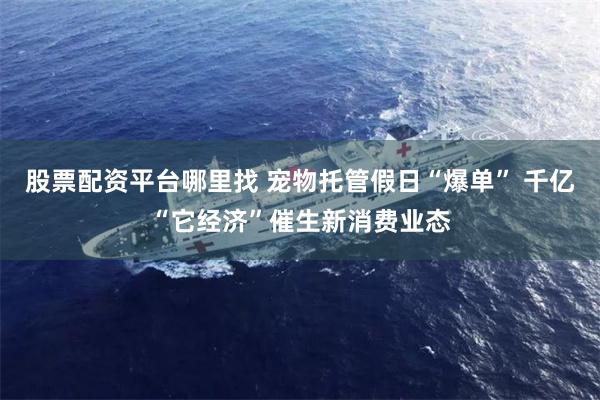 股票配资平台哪里找 宠物托管假日“爆单” 千亿“它经济”催生新消费业态