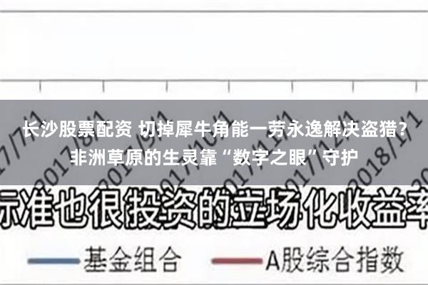 长沙股票配资 切掉犀牛角能一劳永逸解决盗猎？非洲草原的生灵靠“数字之眼”守护